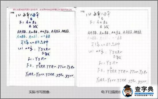 【电脑阅卷】试卷扫描后啥样？评卷误差咋回事？