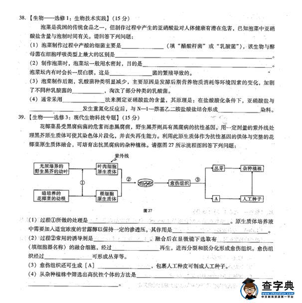 2017云南师大附中高考适应性月考(二)理综试题及答案