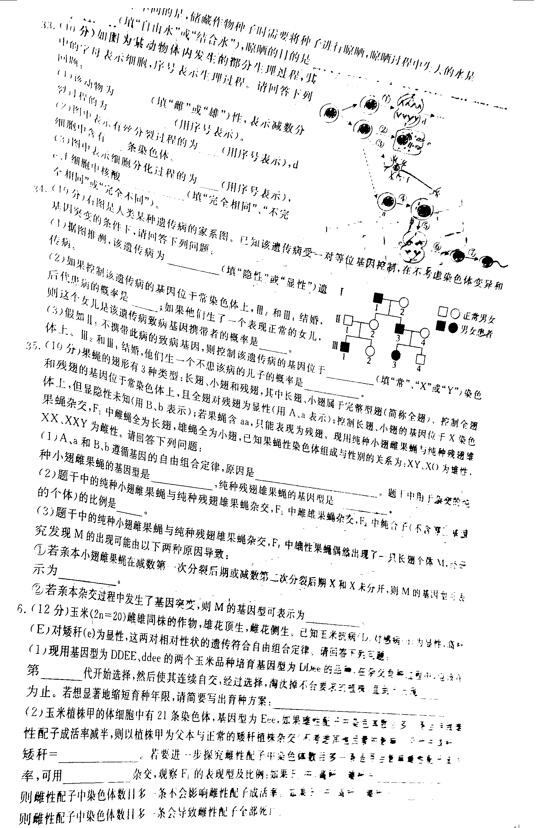 2019百校联盟TOP20十一月高三联考生物试题及答案(全国1卷)5