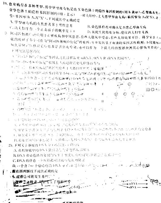 2019百校联盟TOP20十一月高三联考生物试题及答案(全国1卷)3