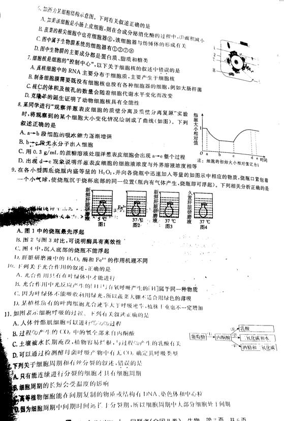 2019百校联盟TOP20十一月高三联考生物试题及答案(全国1卷)2